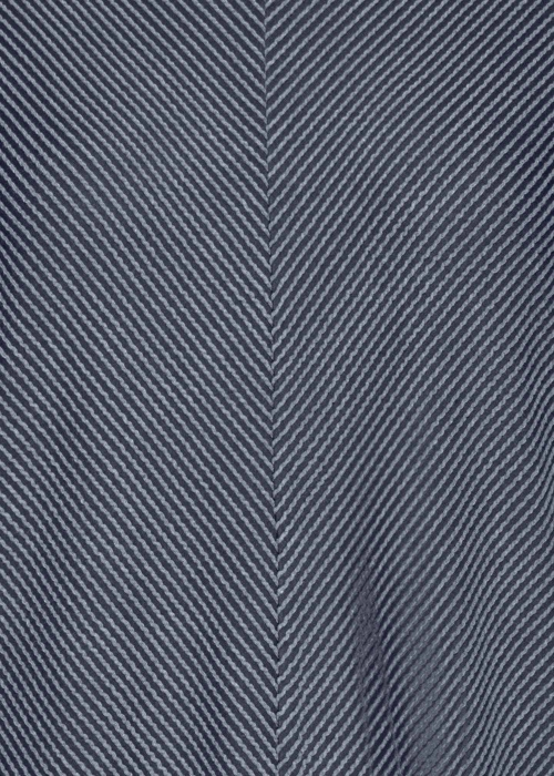 Fransa palaidinė Dasha