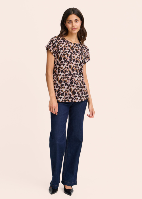 Fransa palaidinė Seen