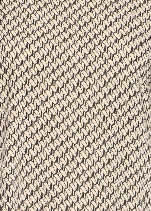 Fransa palaidinė Seen