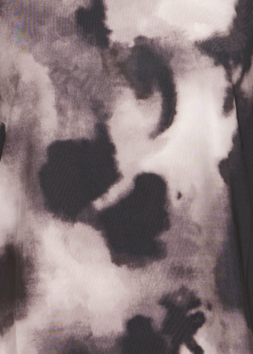 Fransa palaidinė Seen