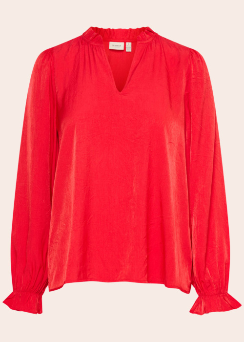 Fransa palaidinė Diana