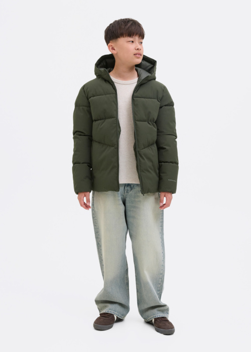 Jack & Jones žieminė striukė Lobal