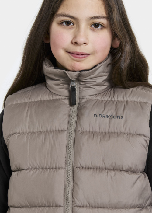 Didriksons liemenė Kilo 2