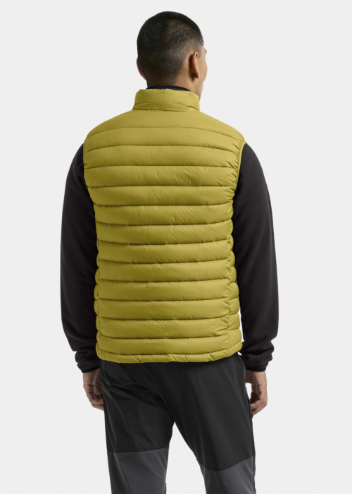 Didriksons liemenė Marino