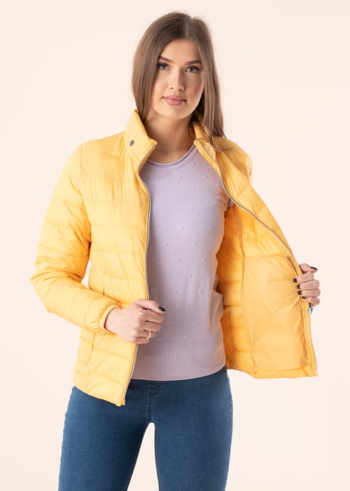 Fransa pavasario-rudens striukė Papadding