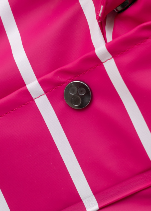 Huppa pavasario-rudens striukė