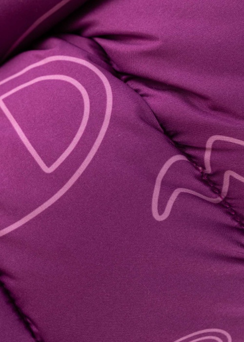 Champion pavasario-rudens-striukė