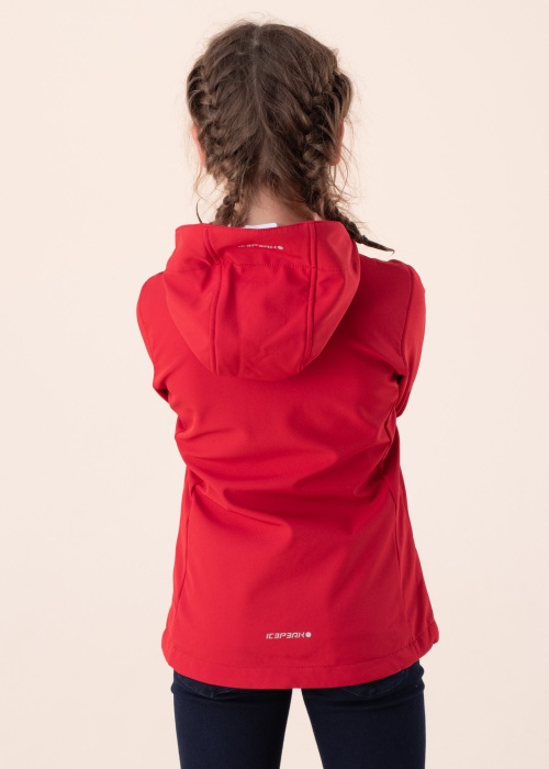 Icepeak pavasario-rudens striukė  SCH Kobryn