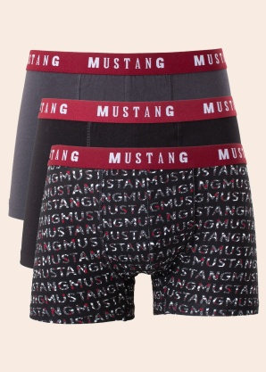 Mustang apatini aidėžutėje 3 vnt. Spausdinti Words