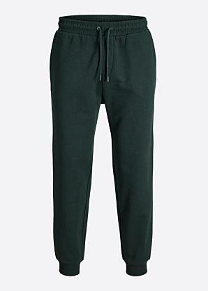 Jack & Jones sportinės kelnės Gordon Bradley