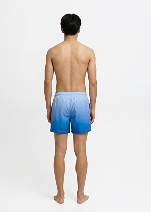 Jack & Jones šortai Maui Horizon