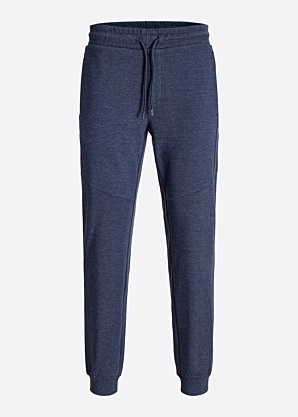 Jack & Jones sportinės kelnės Gordon Bolt