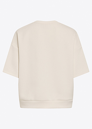 Vila palaidinė Aminas