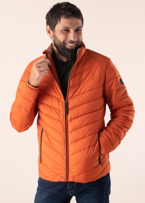 Tom Tailor pavasario-rudens striukė