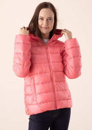 Champion pavasario-rudens striukė