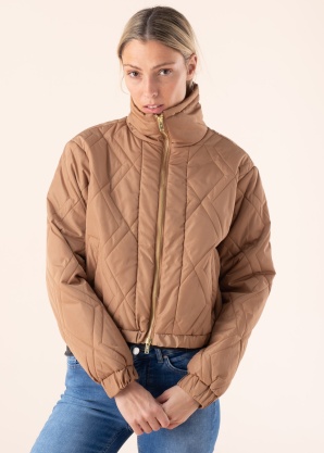 Noisy May striukė Ziggy