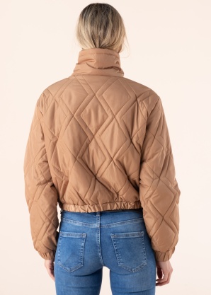 Noisy May striukė Ziggy