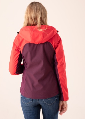 Icepeak pavasario-rudens striukė SCH Broadus