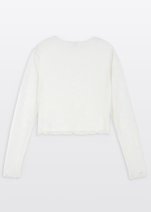 Reporter Young palaidinė