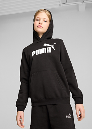 Puma džemperis Ess No.1 Logotipas Goodie Fl