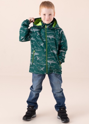 Name It Mini Outerwear pavasario-rudens striukė Malik