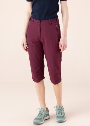 Icepeak bridžai Beattie