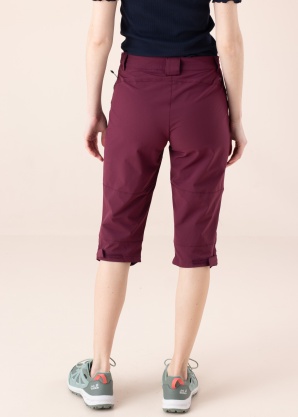 Icepeak bridžai Beattie