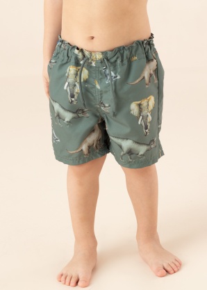 Name It Mini maudymosi šortai Zimon