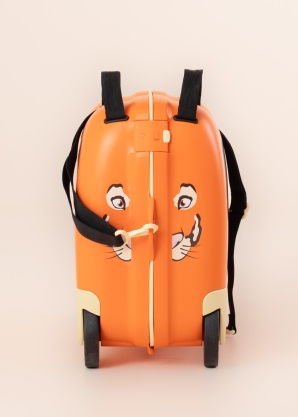 Samsonite lagaminas Dream2go