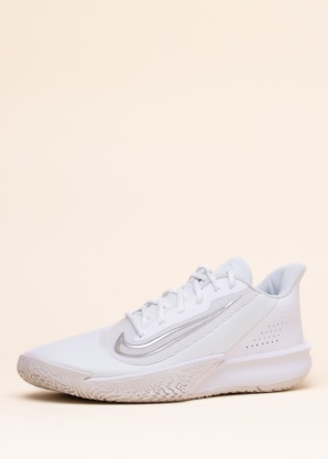Nike krepšinio bateliai Precision Vii