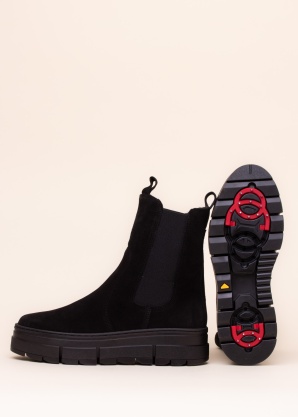 Aaltonen aulinukai su spygliais