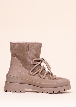 Mexx aulinukai Pisana