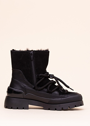 Mexx aulinukai Pisana