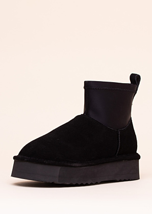 Axelda aulinukai Linz