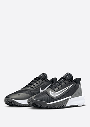 Nike krepšinio bateliai Precision Vii