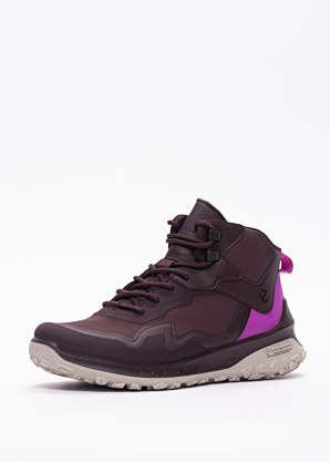 Ecco žygio batai aukštu aulu