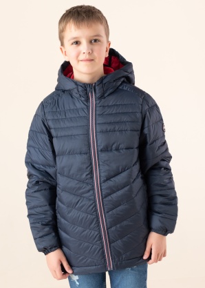 Jack & Jones pavasario-rudens striukė Hero