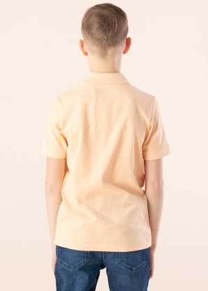 Jack & Jones polo marškinėliai Forest