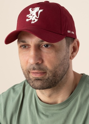 Diverse kepurė Gryffindor