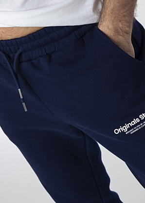 Jack & Jones sportinės kelnės Gordon