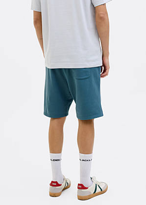 Jack & Jones sportinės kelnės Gordon