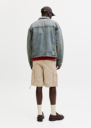 Jack & Jones kelnės Cole Frank