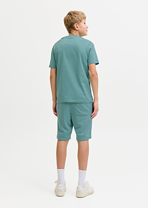 Jack & Jones kelnės Gordon