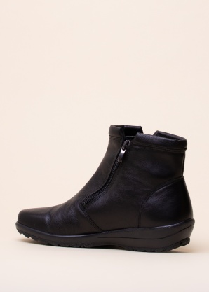 Alpina aulinukai Vita