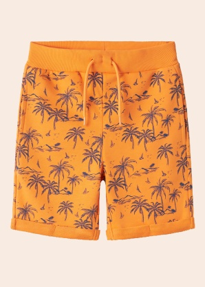 Name It Kids šortai Kaje