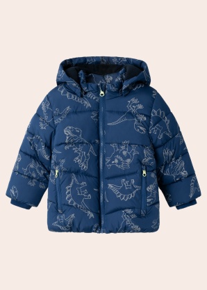 Name It Mini Outerwear žieminė striukė Mosan