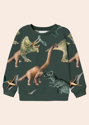 Name It Mini džemperis Kasmir