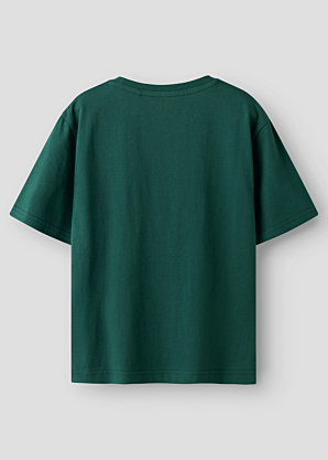 Name It Kids marškinėliai Veldo