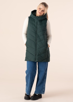 Diverse liemenė Meranu