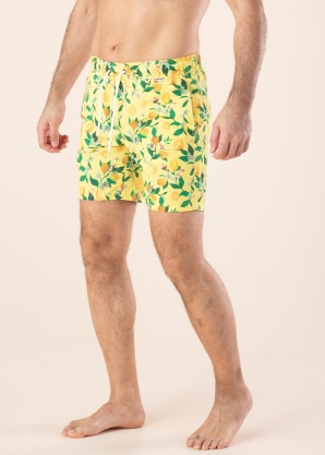 Blend maudymosi šortai